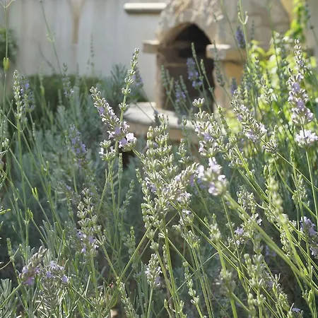 Casa de Férias Zuccaro Gallipoli