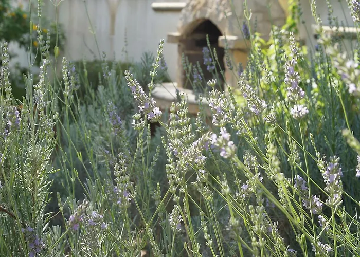 Holiday home Zuccaro Gallipoli